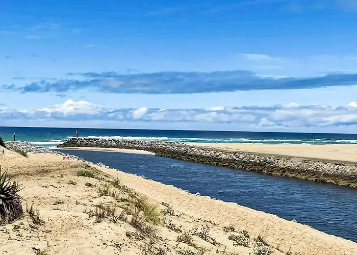 Chasseur By Interhome Mimizan-Plage